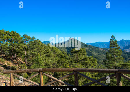 Tamadaba, parco naturale in Gran Canaria, Spagna Foto Stock