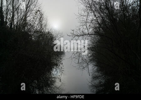 Misty sole sopra il lago incorniciato da alberi Milton Park Milton Cambridge Cambridgeshire England 2016 Foto Stock