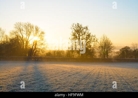 Sun sorge oltre la nebbia paesaggio rurale su un pupazzo di neve con inverni nitido mattina con una temperatura di -6 ºC vicino a Warwick, Warwickshire, Regno Unito Foto Stock