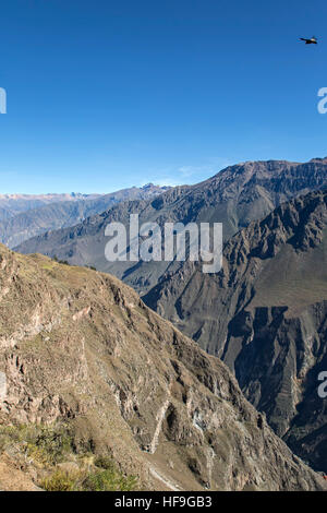 Il Canion del Colca dalla Croce del Condor si affacciano, Arequipa, Perù Foto Stock