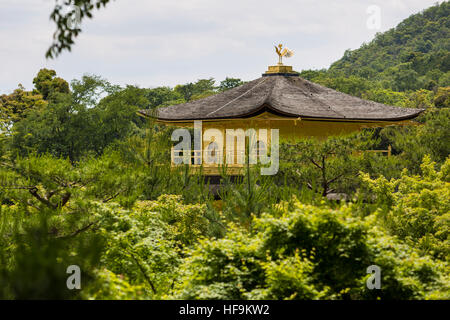 Vista superiore del Golden Pavillion, Kinkaku-ji di Kyoto, Giappone. Il giardino è un esempio del periodo Muromachi garden design. Foto Stock