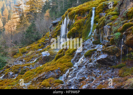 Tropfsteinquelle, Burgum Alp, Val di Vizze Valley, Alto Adige, Italia Foto Stock
