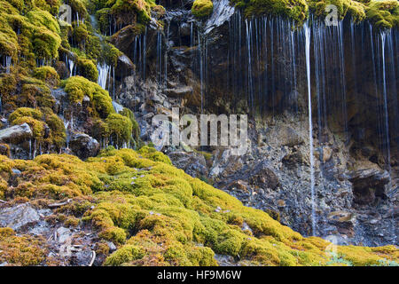 Tropfsteinquelle, Burgum Alp, Val di Vizze Valley, Alto Adige, Italia Foto Stock