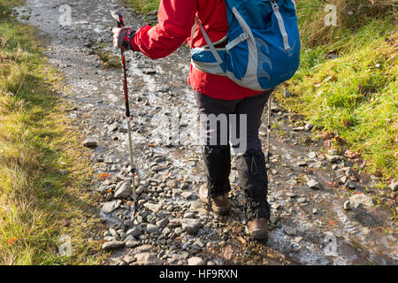 Una donna che cammina su un sentiero di campagna in Borrowdale Lake District Cumbria in inverno indossare una giacca a vento rosso Foto Stock