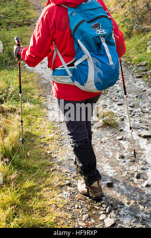 Una donna che cammina su un sentiero di campagna in Borrowdale Lake District Cumbria in inverno indossare una giacca a vento rosso Foto Stock