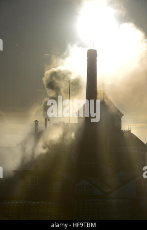 Il camino e il vapore dalla storica Harvey's Brewery, Lewes, East Sussex, su di un soleggiato al mattino invernale Foto Stock