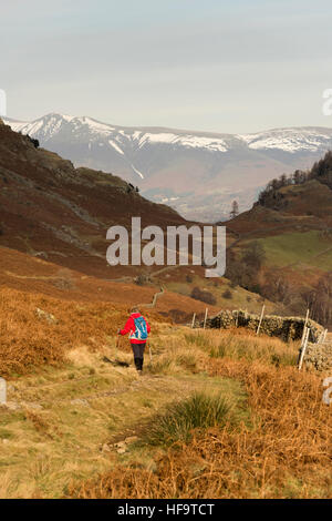 Una donna che cammina su un sentiero di campagna in Borrowdale Lake District Cumbria in inverno indossare una giacca a vento rosso Foto Stock