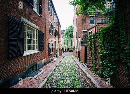 Acorn Street, in Beacon Hill, Boston, Massachusetts. Foto Stock