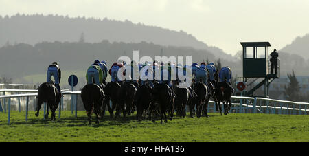 Una vista generale dei corridori e piloti in rete Pertemps Handicap Hurdle durante la terza giornata del Festival di Natale a Leopardstown Racecourse. Foto Stock