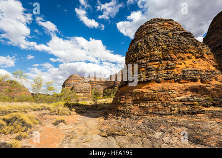 Pasticciare Bungles, Parco Nazionale di Purmululu, Kimberley, Australia occidentale Foto Stock