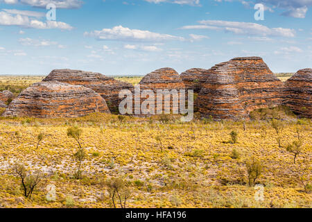 Pasticciare Bungles, Parco Nazionale di Purmululu, Kimberley, Australia occidentale Foto Stock