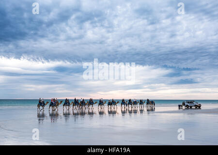 Cable Beach, Australia occidentale. Cammelli sulla spiaggia al tramonto Foto Stock