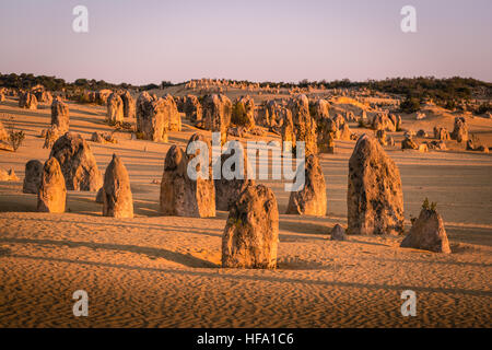 Il Deserto Pinnacles, Australia occidentale Foto Stock