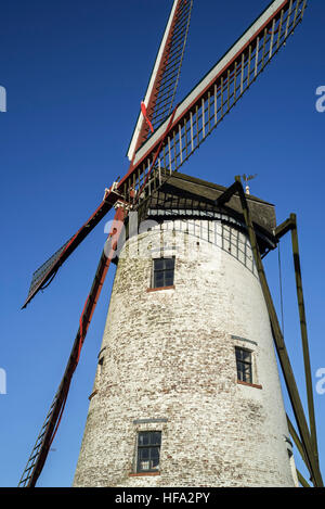 Il Schellemolen / Schelle mill, tradizionale mulino a vento lungo il canale Damse vaart vicino a Damme, Fiandre Occidentali, Belgio Foto Stock