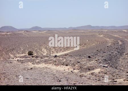 Paesaggio della Namibia Foto Stock