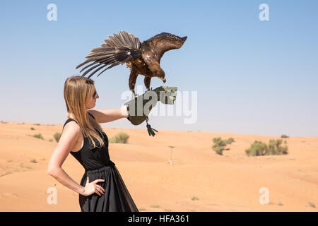 Maggiore maculato (Aquila clanga clanga) durante un deserto spettacolo di falconeria in Dubai, UAE. Foto Stock