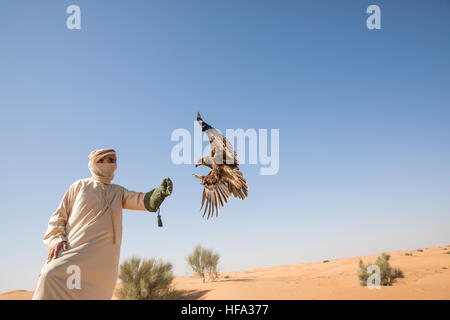 Maggiore maculato (Aquila clanga clanga) durante un deserto spettacolo di falconeria in Dubai, UAE. Foto Stock