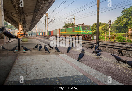 Treno di merci delle ferrovie indiano attraversando un deserto stazione ferroviaria in una nebbiosa mattina d'inverno. Foto Stock