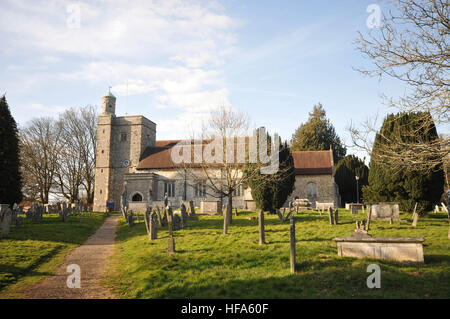 Intorno a Bishop's Waltham un villaggio nell'Hampshire nel Regno Unito, Inghilterra sede delle rovine del Palazzo dei Vescovi Foto Stock