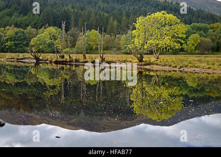 Loch Lubnaig Trossachs Parco Nazionale di Strathyre Scozia Scotland Foto Stock