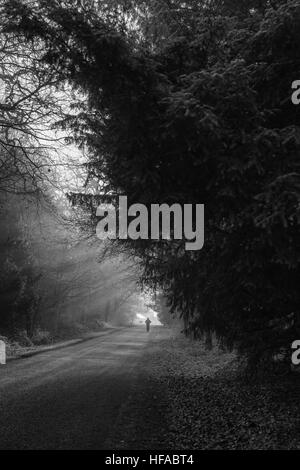 In bianco e nero di Foggy gelido inverno mattina in Clumber Park con l uomo a distanza Foto Stock