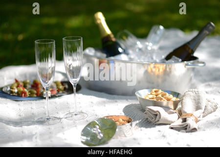 Luxury picnic estivo con champagne e argenteria Foto Stock