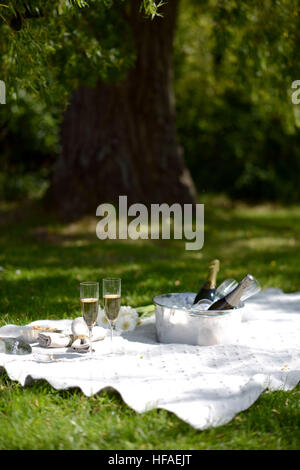 Luxury picnic estivo con champagne e argenteria Foto Stock