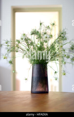 Smokey vaso di vetro con amore-in-un-nebbia nigella flower display interno Foto Stock