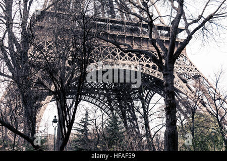 Dettaglio della torre Eiffel shot in tra alberi a Parigi, Francia Foto Stock