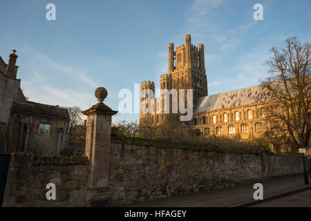 Cattedrale di Ely in Cambridgeshire. In Inghilterra. Foto Stock