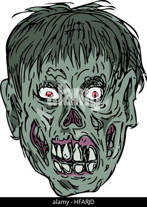 Schizzo di disegno illustrazione dello stile di uno zombie testa cranio visto dal lato anteriore impostato su isolato sullo sfondo bianco. Illustrazione Vettoriale