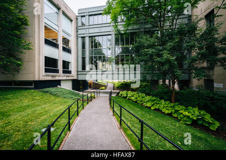 La passerella e Griswold Hall, alla scuola di diritto di Harvard, a Cambridge, Massachusetts. Foto Stock