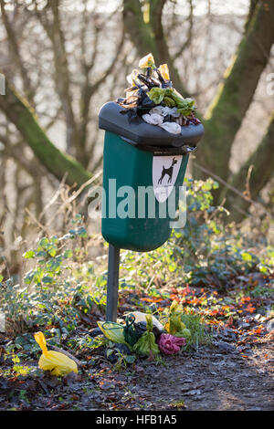 Un over-fluente cane bidone dei rifiuti a Malvern, Regno Unito Foto Stock