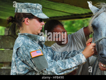 Esercito Capt. Rebecca Carden, sinistra, da Fort San Houston, Texas, la calma di un cavallo come PFC. Angela McCormick, da Sacramento, California, si prepara a dare una vaccinazione durante una visita veterinaria locale a una fattoria in Costa Rica. Il multipurpose Amphibious Assault nave USS Iwo Jima è su una porta visita al Limon conducendo la continua promessa 2010 umanitario assistenza civica di missione. Il medico assegnato e il personale tecnico imbarcato a bordo di Iwo Jima lavorerà con la nazione partner in grado di fornire i team di medico, dentista, veterinario e assistenza tecnica in otto diverse nazioni. Continuando la promessa 2010 Foto Stock