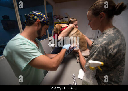 150715-N-XQ474-125 BUENAVENTURA, Colombia (15 luglio 2015) -un veterinario locale, sinistro funziona con un volontario con le organizzazioni non governative (ONG) Mondo veterinari, e l'esercito Capt. Emily Corbin, a destra di un nativo di Boulder Junction, Wis., e un veterinario assegnato alla sanità pubblica del distretto di comando, Fort Meade, Md., per eseguire un intervento su un cane in un sito veterinario istituito presso Eufermeria Canina del Grupo Antiexplosnos Urbano a sostegno di continuare promessa 2015. Mondo di veterinari volontari stanno lavorando a fianco di altre ONG e militari membri per completare la CP-15 missione. Continuando Promi Foto Stock