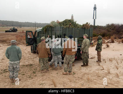 Volontari da giunto di base Expeditionary poco Creek-Fort Storia scaricare gli alberi di Natale donati per la duna costiera di conservazione. Gli alberi saranno sepolti dalla sabbia battente, aiutando a prevenire erosione di dune. (U.S. Foto di Marina di Massa lo specialista di comunicazione 2a classe Stuart Phillips/RILASCIATO) Dune conservazione 130116-N-NL541-096 Foto Stock