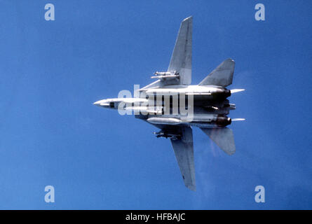 Un aria-aria vista dal basso di un F-14 Tomcat aeromobile da Fighter Squadron 111 (VF-111). Il velivolo è armato con AIM-7 missile Sparrow (interno) e un'AIM Sidewinder missile su ciascuna ala. F-14 vista dal basso con le ali in avanti Foto Stock