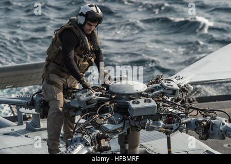 161119-N-RX777-053 GOLFO ARABICO (nov. 19, 2016) Petty Officer di terza classe Giuseppe Snider conduce una pre-volo check su un MH-60S Sea Hawk elicottero assegnato per il polveroso cani di elicottero di mare squadrone di combattimento (HSC) 7 in preparazione per un rifornimento verticale a bordo del combattimento veloce nave appoggio USNS Arctic (T-AOE 8). Artico è implementato il supporto di coalizione forze marittime navi negli Stati Uniti Quinta Flotta area di operazioni. (U.S. Navy foto di Sottufficiali di terza classe Cole Keller) 161119-N-RX777-053 (30367476053) Foto Stock