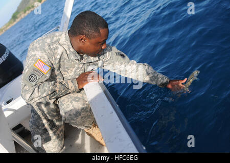 Spc. Howard Jones, un armorer per la 189Polizia Militare Company, rilascia un pesce di nuovo in acqua durante un militare congiunta viaggio di pesca nella baia di Guantanamo, 8 luglio. Jones è una delle diverse truppe di stanza a Joint Task Force e la stazione navale di Guantanamo che si offrono volontari per insegnare nel benessere morale e la ricreazione sponsorizzato basic lezioni di pesca. Militare congiunta viaggio di pesca 110708-N-MN220-175 Foto Stock