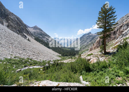 Su John Muir Trail, Kings Canyon National Park, California, Stati Uniti d'America, America del Nord Foto Stock