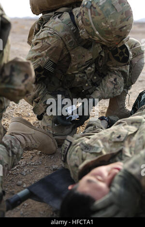 Stati Uniti Army Spc. Kurtz Nkelo (inginocchiato) medic per PRT (Provincial Reconstruction Team) Farah, completa una casualty care card per simulare un incidente, SPC. Domingo Recinos, compagni di PRT forza di sicurezza membro del team, durante l'evacuazione medica formazione su FOB Farah, Gen 9. PRT Farah coordinati con C Company, "Northstar Dustoff,' 2-211esimo reggimento di aviazione (Air Ambulance) i piloti e i medici al fine di fornire preziose a mani su evacuazione medica formazione. PRT Farah ha la missione di treno, consigliare e assistere il governo afgano leader a livello comunale, District e provinciali nella provincia di Farah Foto Stock