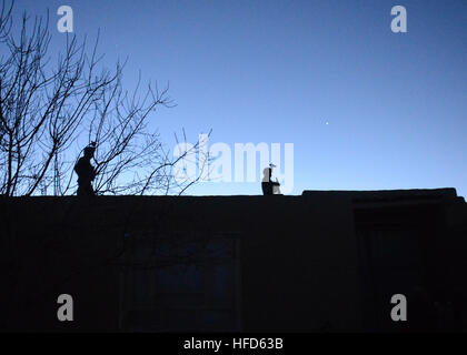 140215-N-OH262-076 provincia di Logar, Afghanistan (16 febbraio 2014)-Due esercito nazionale afghano delle forze speciali commandos attaccata al 8 Operazioni Speciali Kandak stand over-guarda nel villaggio di Babus, pul-E-Alam distretto, provincia di Logar, Feb 16. Il Commandos erano nel villaggio di condurre una presenza di pattugliamento e di host a shura per introdurre i residenti della nuova Babus Afghan capo della polizia locale, la Cmdr. Reshad. (U.S. Fotografia della marina da capo la comunicazione di massa specialista Bill Mesta/Non rilasciato) Afghan Commandos introdurre nuove ALP chief 140215-N-OH262-076 Foto Stock