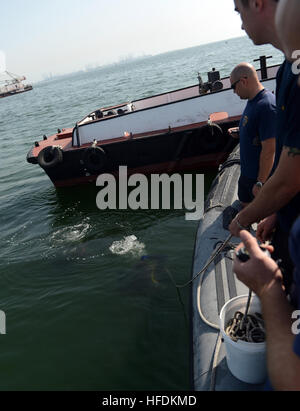 130124-N-PF210-162 MINA SALMAN PIER, Bahrain (GEN. 24, 2013) Navy Divers assegnato al mobile di immersioni subacquee e di unità di soccorso (MDSU) 2, Società 2-2, il controllo della linea di tendenza e attendere per i sommozzatori in superficie durante una routine di anti-terrorismo protezione forza di immersione. MDSU 2 è assegnato al comandante, gruppo di attività 56.1, promuovendo la contromisura mine, l'eliminazione degli ordigni esplosivi, recupero immersioni e forza di protezione negli Stati Uniti Quinta Flotta area di responsabilità. (U.S. Foto di Marina di Massa lo specialista di comunicazione 2a Derek R. SANCHEZ/RILASCIATO) Forza antiterrorismo protezione dive di ispezione 130124-N-PF210-162 Foto Stock