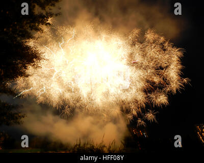 Lucido colorati fuochi d' artificio a notte oscura holiday Foto Stock