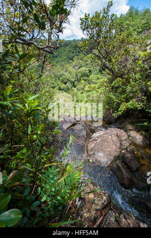 Alexandra cade, una parte del Black River Gorges, Mauritius. Foto Stock