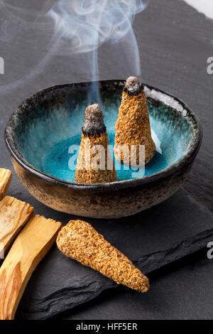 Palo Santo o Santo legno albero seme Baccelli, Bursera graveolens, Isola di  Santa Cruz in dicembre, Isole Galapagos, Ecuador Foto stock - Alamy