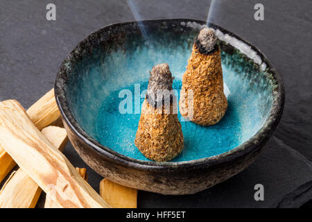 Bursera graveolens, conosciuto in spagnolo come Palo Santo ("santo legno ") è un albero selvatico dall America Latina Foto Stock