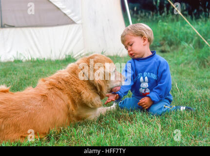 Un broncio tre-anno vecchio ragazzo cerca di ottenere il suo giocattolo palla lontano dal suo pet Golden Retriever cane. Foto Stock