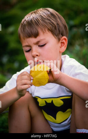 A quattro anni di old boy è assorbita nella concentrazione su una foglia di colore giallo . Foto Stock