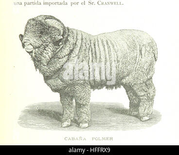 Immagine tratta da pagina 137 di "Descripcion amena de la Republica Argentina". Questo lavoro descrive la geografia, la storia e la cultura dell'Argentina in modo descrittivo. Foto Stock